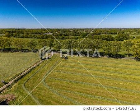 High angle wide horizontal aerial drone photograph of agricultural tractor raking mown hay into windrows along tree line in rural Gelderland, Achterhoek, Netherlands on sunny spring day High angle wide horizontal aerial drone photograph of agricultural tractor raking mown hay into windrows along tree line in rural Gelderland, Achterhoek, Netherlands on sunny spring day 142637165