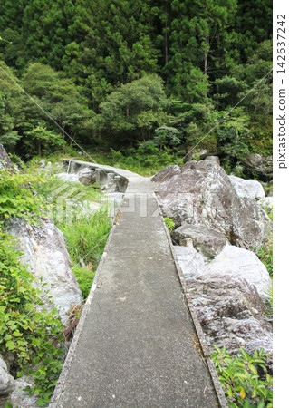 Iwakawachi Submersible Bridge, Ino Town, Kochi Prefecture 142637242