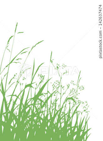 Grass green silhouette vector isolated on white background nature design illustration of grass plant pattern greenery artwork Hand drawn. Not AI, vector illustration. Grass green silhouette vector isolated on white background nature design illustration of grass plant pattern greenery artwork Hand drawn. Not AI, vector illustration. 142637474