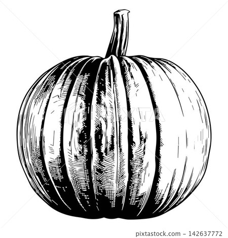 Fresh orange pumpkin isolated on white background Fresh orange pumpkin isolated on white background 142637772