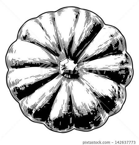 fresh raw pumpkin isolated on white background, top view fresh raw pumpkin isolated on white background, top view 142637773