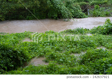 The muddy river currents, swollen by heavy rain. The muddy river currents, swollen by heavy rain. 142637921