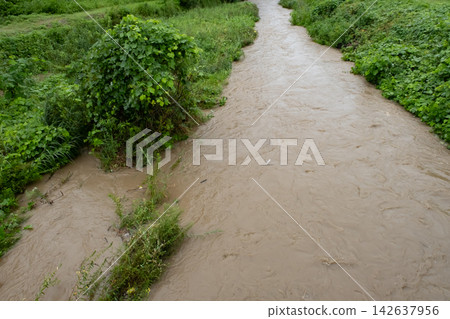 暴雨過後，渾濁的河水湍急。 142637956