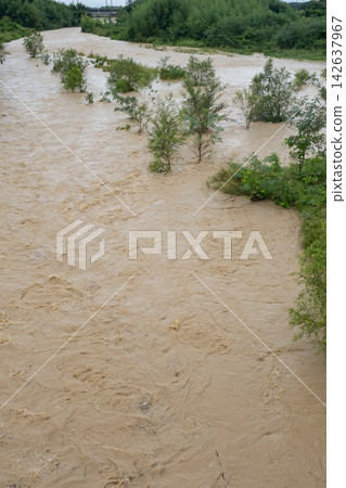 暴雨過後,渾濁的河水湍急。 暴雨過後,渾濁的河水湍急。 142637967