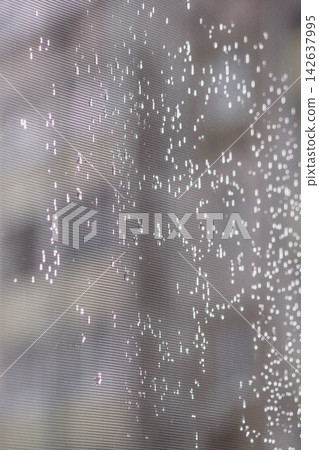 Raindrops and glowing bokeh lights on window screen mesh background Raindrops and glowing bokeh lights on window screen mesh background 142637995
