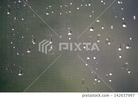 Raindrops and glowing bokeh lights on window screen mesh with green background 142637997