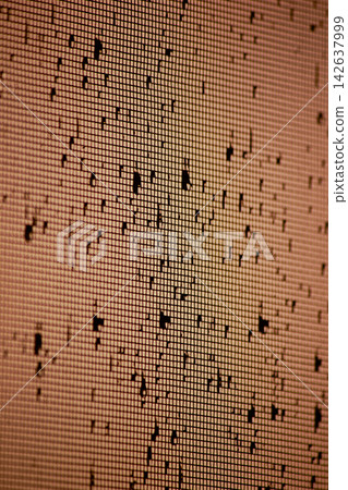 Raindrops on window screen mesh illuminated by warm sunset glow 142637999