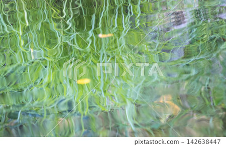 圖片素材描繪了森林的蔥鬱綠意、清澈的溪流以及夏日色彩倒映在水面上的景象。 圖片素材描繪了森林的蔥鬱綠意、清澈的溪流以及夏日色彩倒映在水面上的景象。 142638447