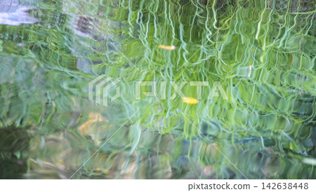 圖片素材描繪了森林的蔥鬱綠意、清澈的溪流以及夏日色彩倒映在水面上的景象。 圖片素材描繪了森林的蔥鬱綠意、清澈的溪流以及夏日色彩倒映在水面上的景象。 142638448