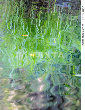 圖片素材描繪了森林的蔥鬱綠意、清澈的溪流以及夏日色彩倒映在水面上的景象。 圖片素材描繪了森林的蔥鬱綠意、清澈的溪流以及夏日色彩倒映在水面上的景象。 142638449