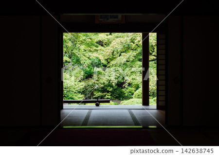 【滋賀縣東近江市】金剛林寺妙珠院：窗外景色 142638745