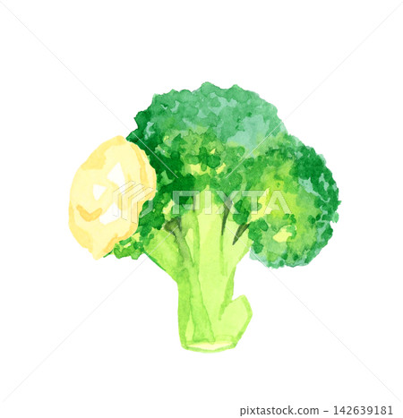 綠花椰菜佐蛋黃醬 - 手繪水彩蔬菜插圖 綠花椰菜佐蛋黃醬 - 手繪水彩蔬菜插圖 142639181