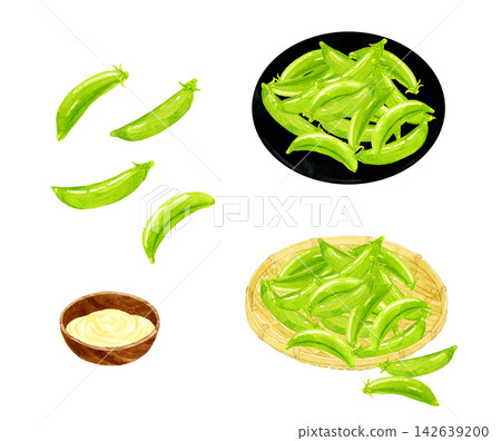 豌豆莢套裝 - 手繪水彩插畫素材 豌豆莢套裝 - 手繪水彩插畫素材 142639200