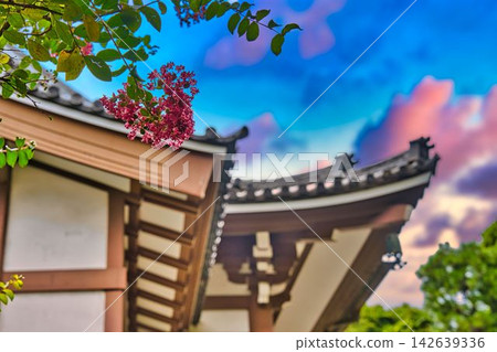 橫濱本覺寺 橫濱本覺寺 142639336