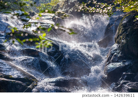 屋久島白谷雲水峽的冬景:陽光與奔流的河水 屋久島白谷雲水峽的冬景:陽光與奔流的河水 142639611