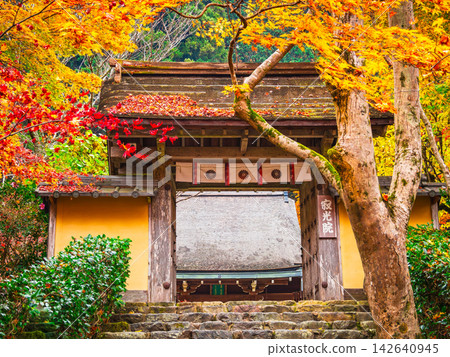 Autumn in Kyoto: Jakkoin Temple, a nunnery associated with Kenreimon-in. Autumn in Kyoto: Jakkoin Temple, a nunnery associated with Kenreimon-in. 142640945
