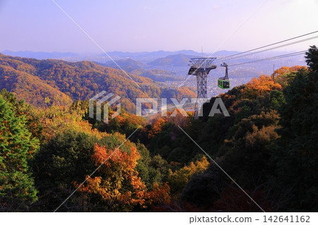 Mount Shosha, ablaze with autumn colors (Himeji City, Hyogo Prefecture) Mount Shosha, ablaze with autumn colors (Himeji City, Hyogo Prefecture) 142641162
