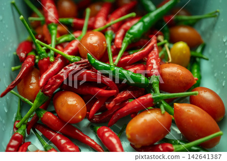 Group of cherry tomato and chili pepper soaked in water before using as food ingredients. Group of cherry tomato and chili pepper soaked in water before using as food ingredients. 142641387