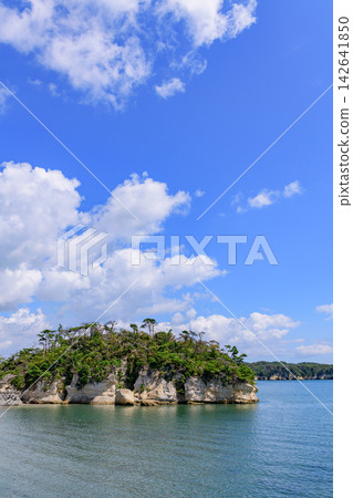 在宮城縣松島灣浦戶群島的佐布澤島上漫步。 在宮城縣松島灣浦戶群島的佐布澤島上漫步。 142641850