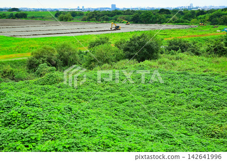 埼玉縣荒川河床河維護工程 埼玉縣荒川河床河維護工程 142641996
