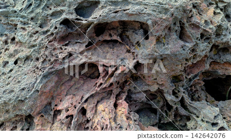 Hollowed Volcanic Rock Cavities and Coral Texture Hollowed Volcanic Rock Cavities and Coral Texture 142642076