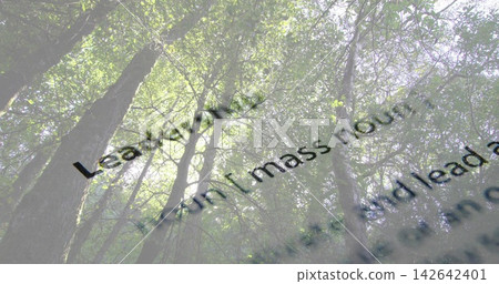 Displaying forest canopy and trunks rising toward sky in woods, overlaid with black type Displaying forest canopy and trunks rising toward sky in woods, overlaid with black type 142642401