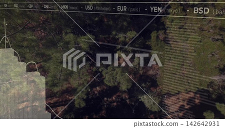Showing pine canopy casting long shadows over sunny forest, with striped clearing and chart overlay 142642931