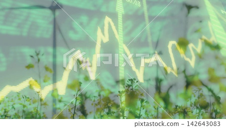 Blending yellow flower stems with green finance chart, line and bars, digits over rural field tower Blending yellow flower stems with green finance chart, line and bars, digits over rural field tower 142643083