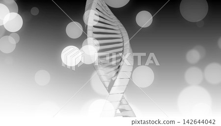 Showing stylized double-helix centering in abstract gray gradient, with rectangular rungs and bokeh Showing stylized double-helix centering in abstract gray gradient, with rectangular rungs and bokeh 142644042