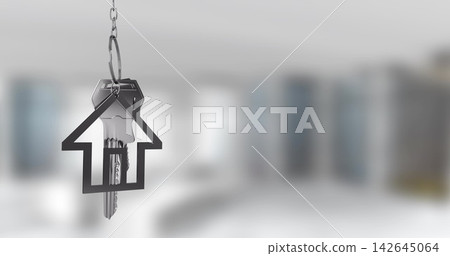 Hanging metallic house-shaped key ring holding single metal key in modern living room, copy space Hanging metallic house-shaped key ring holding single metal key in modern living room, copy space 142645064