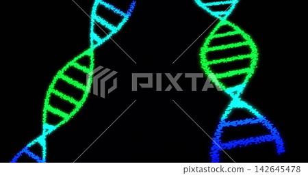 Glowing pair of stylized DNA double helices curving inward on black backdrop, showing neon rungs Glowing pair of stylized DNA double helices curving inward on black backdrop, showing neon rungs 142645478