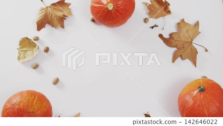 Autumn flat-lay featuring pumpkins, dried leaves, acorn seeds, twigs on flat white surface Autumn flat-lay featuring pumpkins, dried leaves, acorn seeds, twigs on flat white surface 142646022