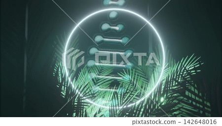Glowing white neon ring hovering in staged studio set, with pixelated LED panel, palm fronds Glowing white neon ring hovering in staged studio set, with pixelated LED panel, palm fronds 142648016