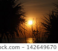 Sunset over the sea in Bali 142649670