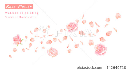 精美的玫瑰水彩向量插圖。 精美的玫瑰水彩向量插圖。 142649718