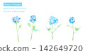 Beautiful watercolor vector illustration of roses 142649720