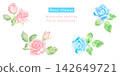 Beautiful watercolor vector illustration of roses 142649721