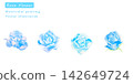 Beautiful pink and blue rose vector illustration painted in watercolor. 142649724