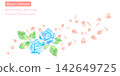 Beautiful pink and blue rose vector illustration painted in watercolor. 142649725