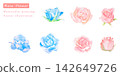 Beautiful pink and blue rose vector illustration painted in watercolor. 142649726