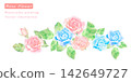 Beautiful pink and blue rose vector illustration painted in watercolor. 142649727
