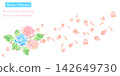 Beautiful pink and blue rose vector illustration painted in watercolor. 142649730