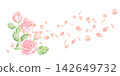 Beautiful watercolor vector illustration of roses 142649732