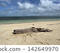 Green Island, Cairns Beach, Driftwood 142649970