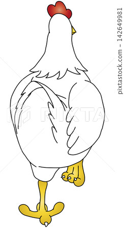 Hand-drawn animal illustration ☆ Chicken 142649981