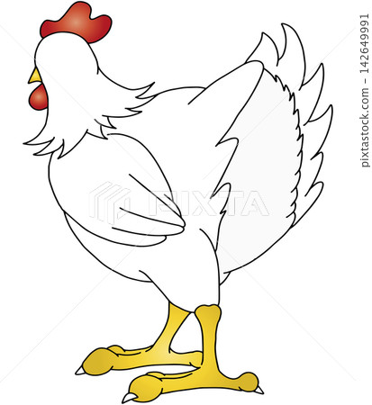Hand-drawn animal illustration ☆ Chicken Hand-drawn animal illustration ☆ Chicken 142649991