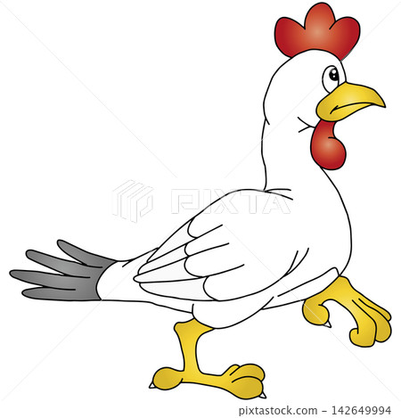 Hand-drawn animal illustration ☆ Chicken Hand-drawn animal illustration ☆ Chicken 142649994
