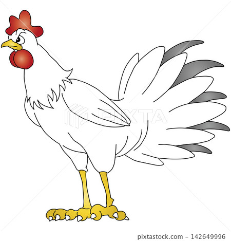 Hand-drawn animal illustration ☆ Chicken Hand-drawn animal illustration ☆ Chicken 142649996