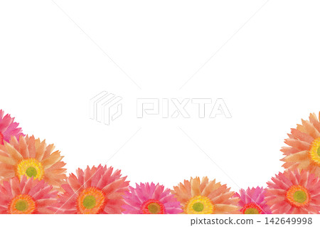 手繪彩色非洲菊背景插圖，置於矩形框架內 142649998