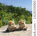 A tropical landscape and cute Shisa statues (Okinawa tourist image) 142650060